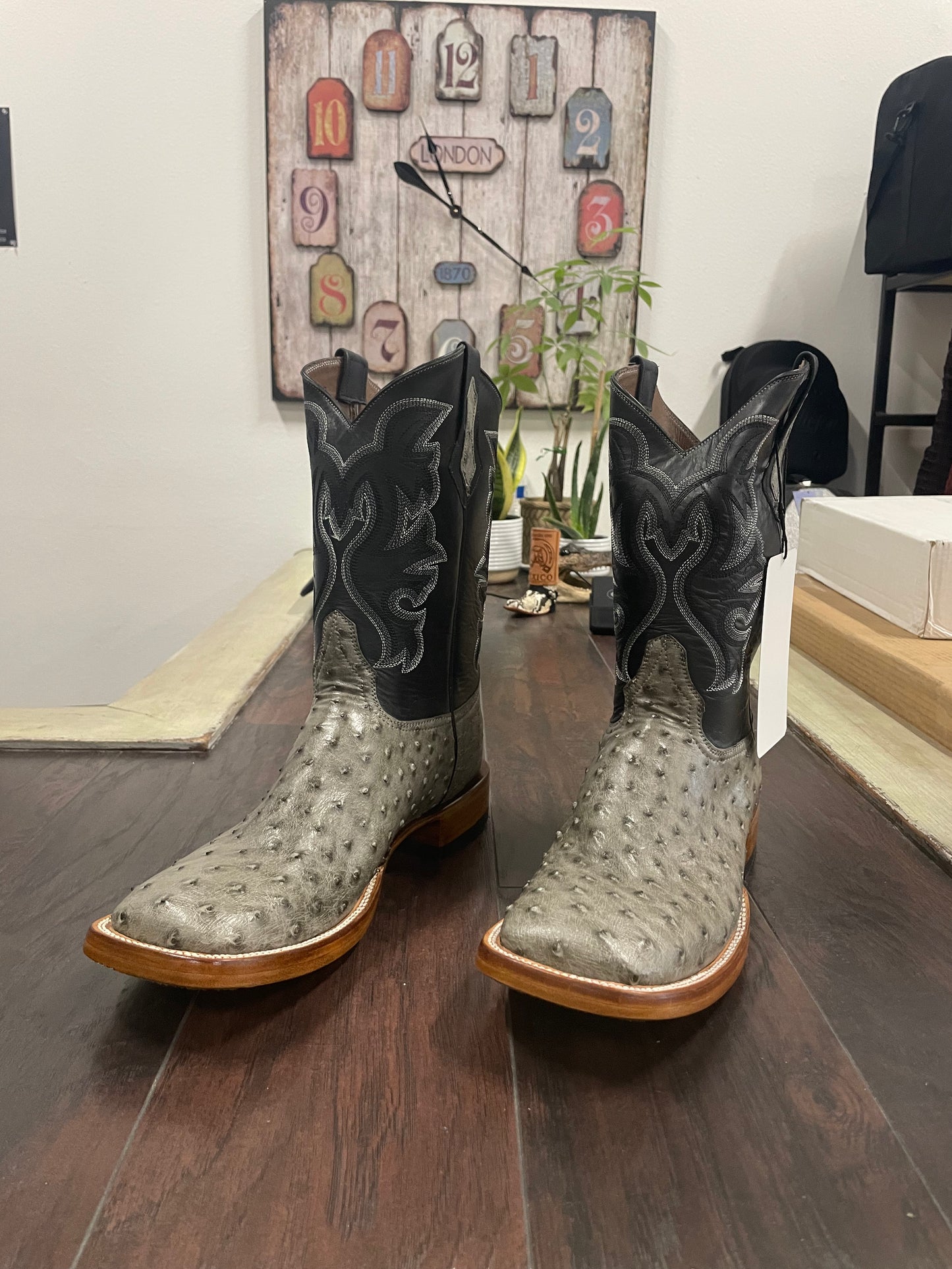 Ostrich- Serpentine Gray