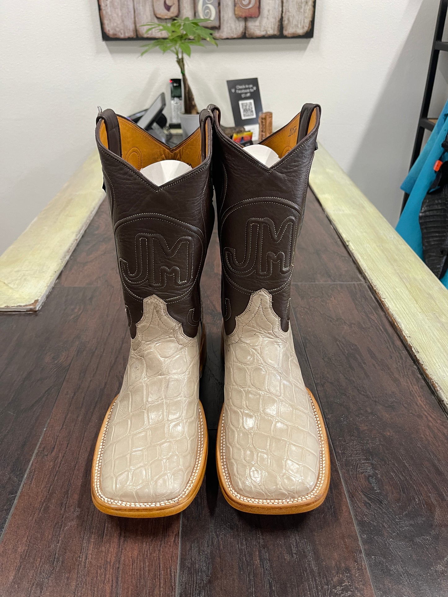 American Alligator Hueso
