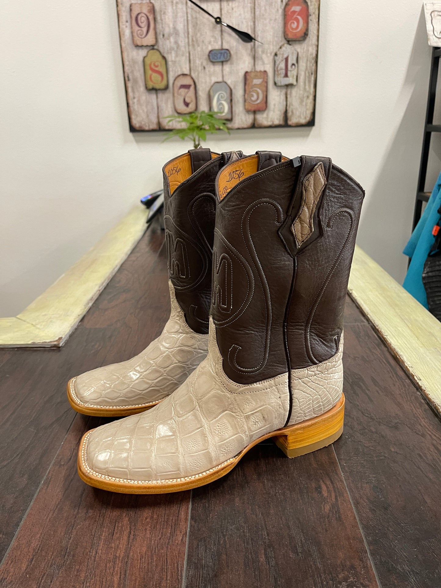 American Alligator Hueso