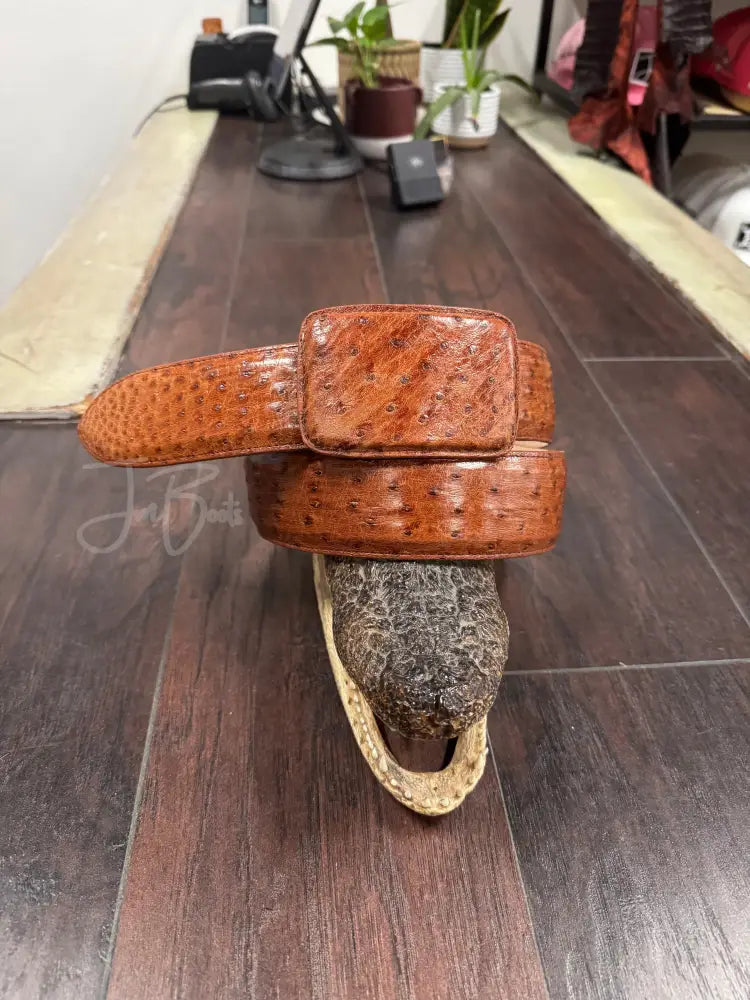Cognac Ostrich belt