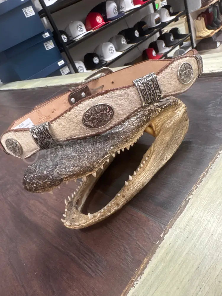 Cowhide belt metal conchos - 34