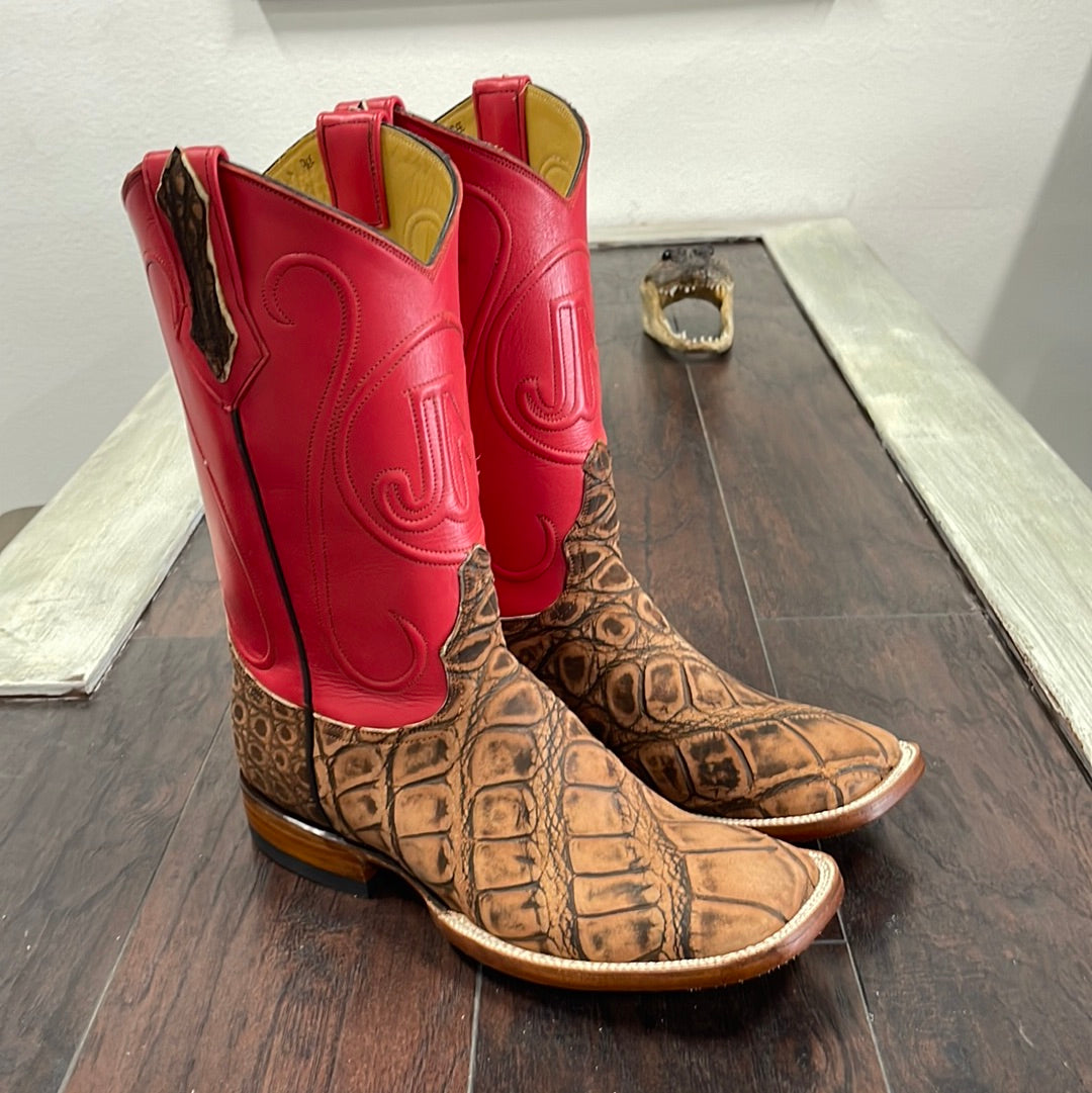 American alligator rustic brown