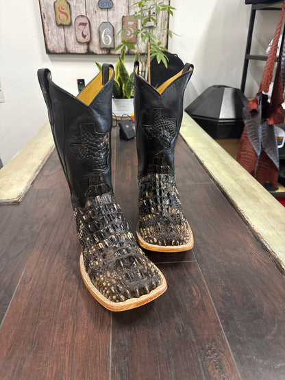 Hornback Am Alligator natural