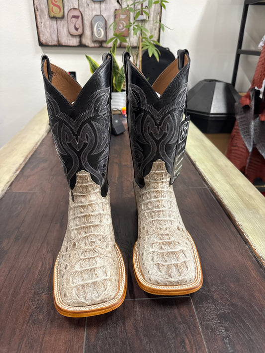 Caiman hornback- natural