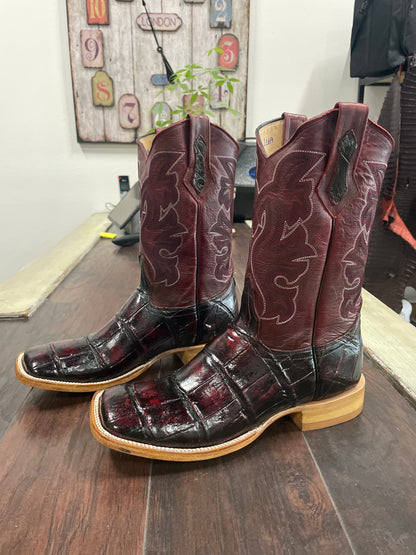 American Alligator~ Black Cherry