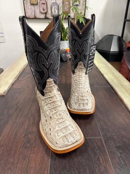 Caiman hornback- natural