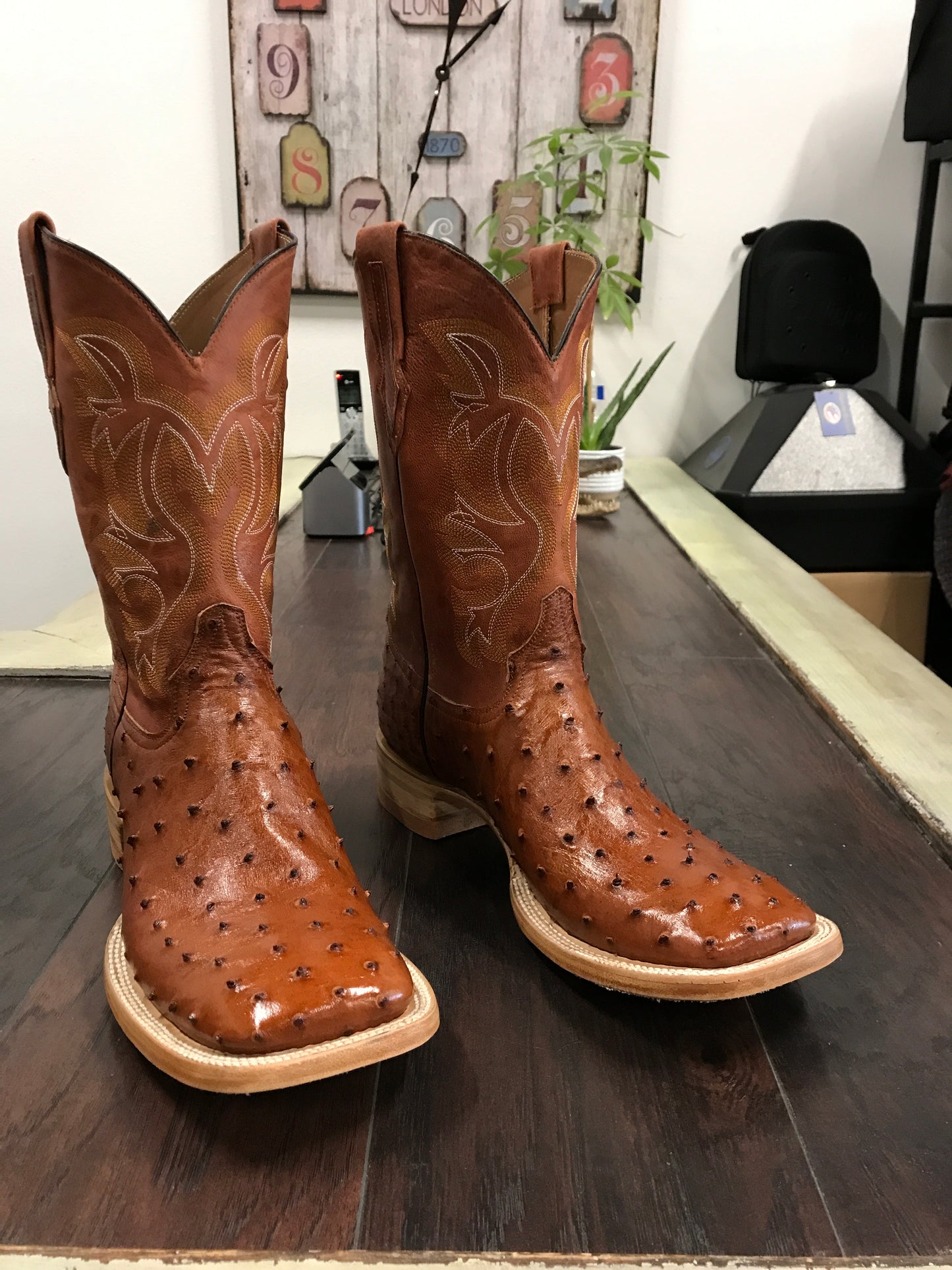 Ostrich - Brandy