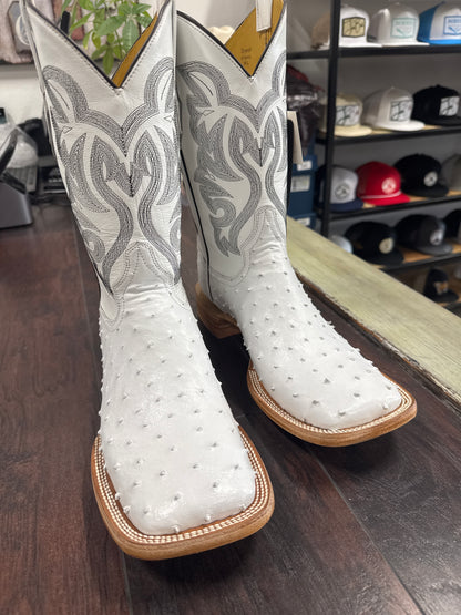 Ostrich - White Bulldog