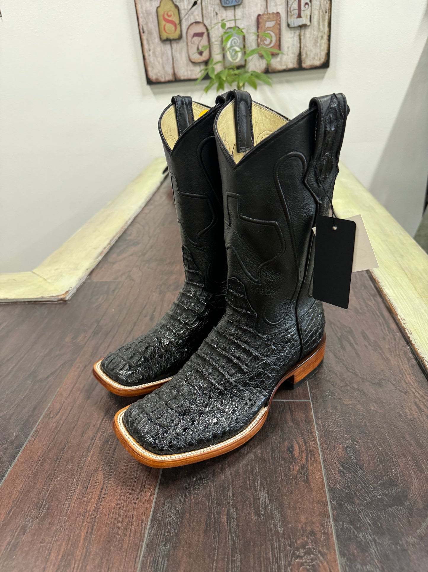 Caiman hornback- Black