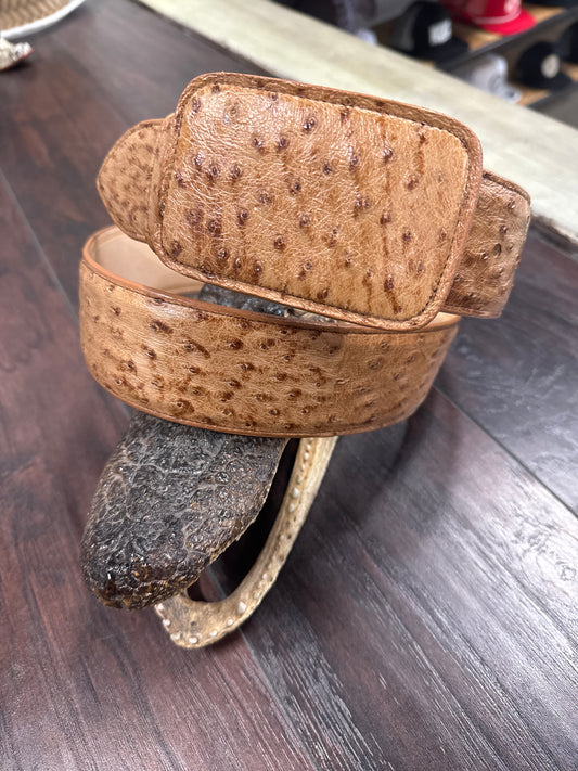 Ostrich Belt- Brandy Bruciato
