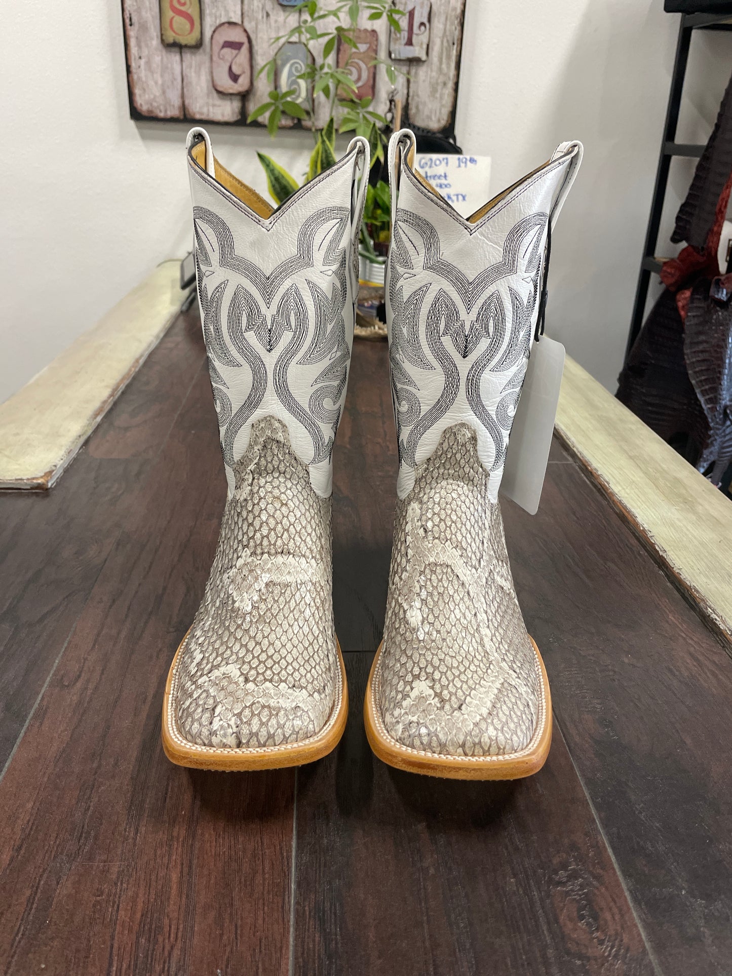 Natural- Python Back