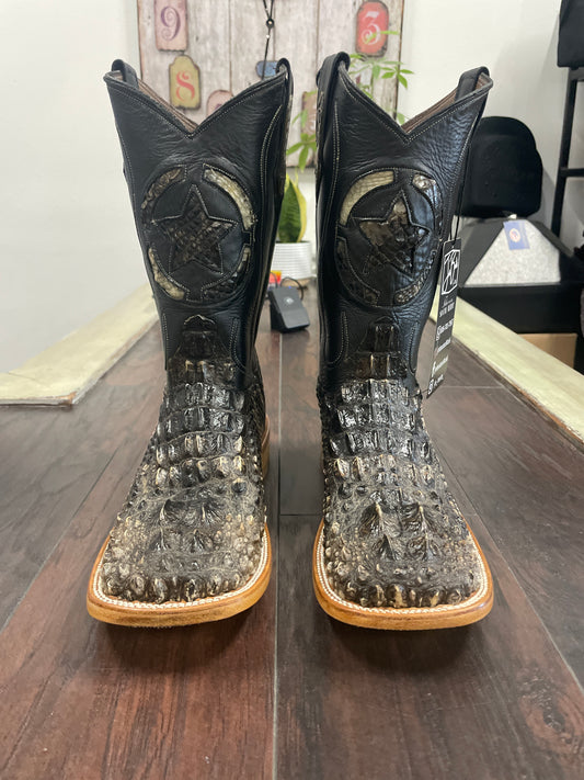 American Alligator Horn Back- Nuca