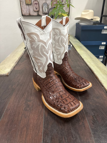 Caiman hornback- cigar