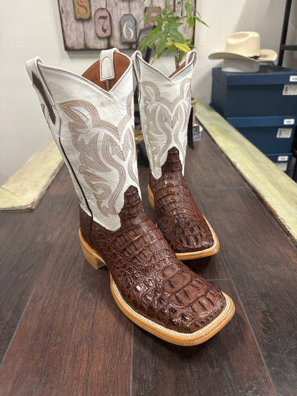 Caiman hornback- cigar