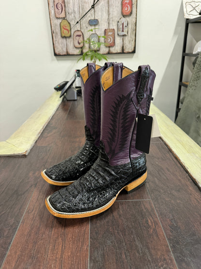 Caiman hornback- Black