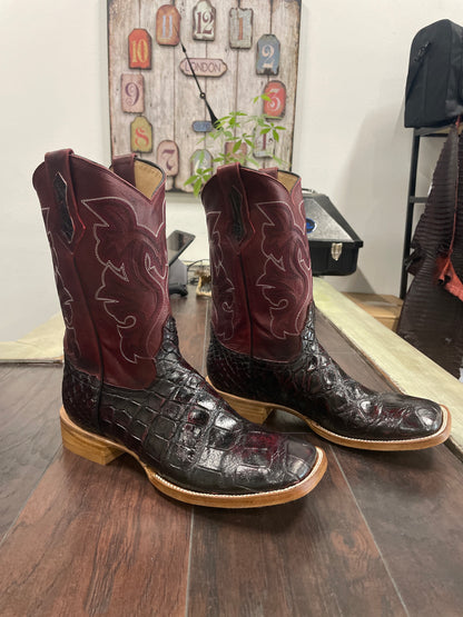 American Alligator~ Black Cherry