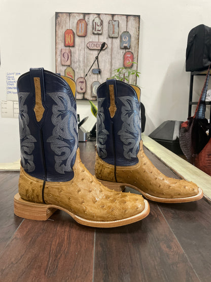 Ostrich -Umber Bruciato