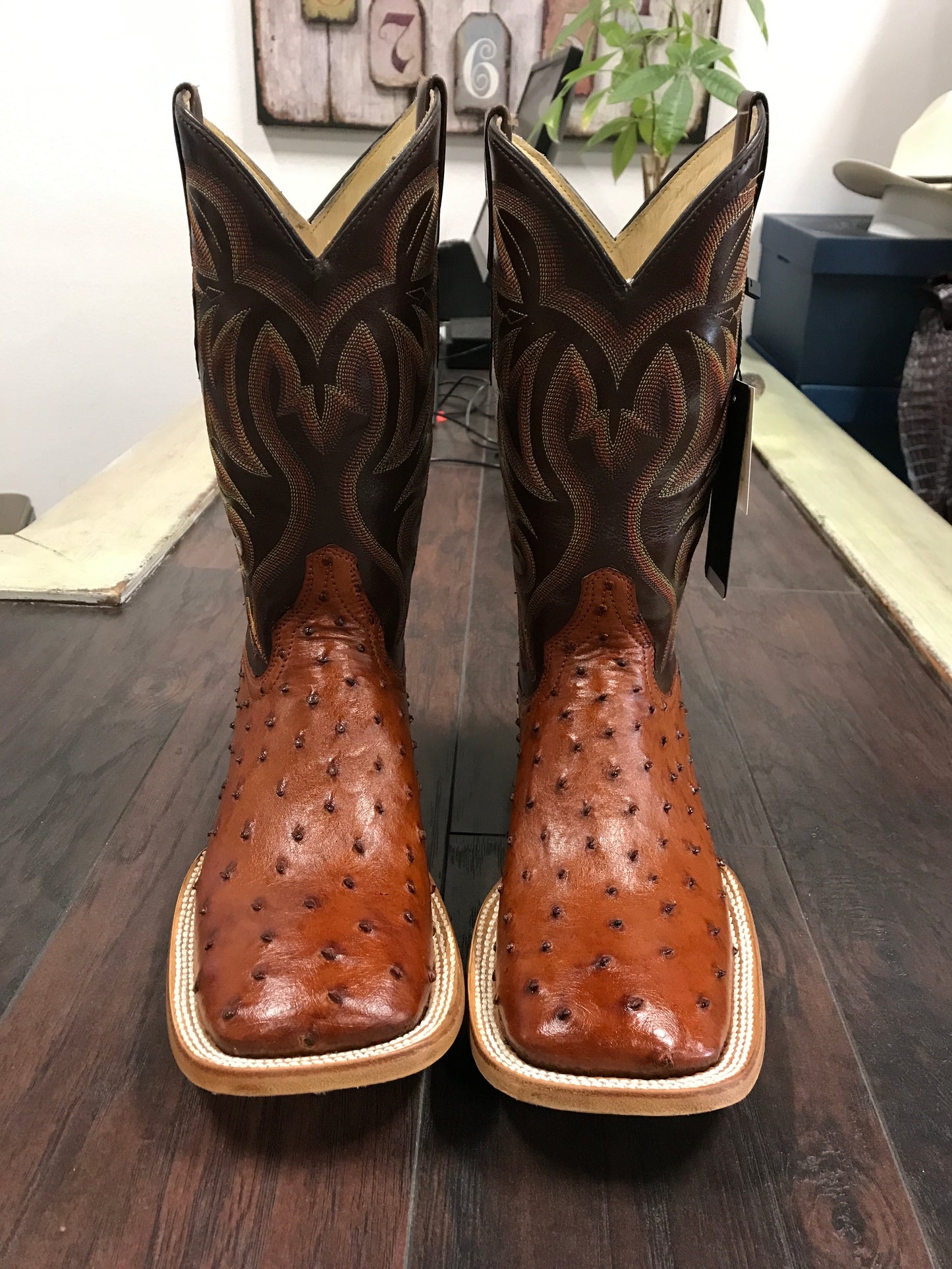 Ostrich Cognac