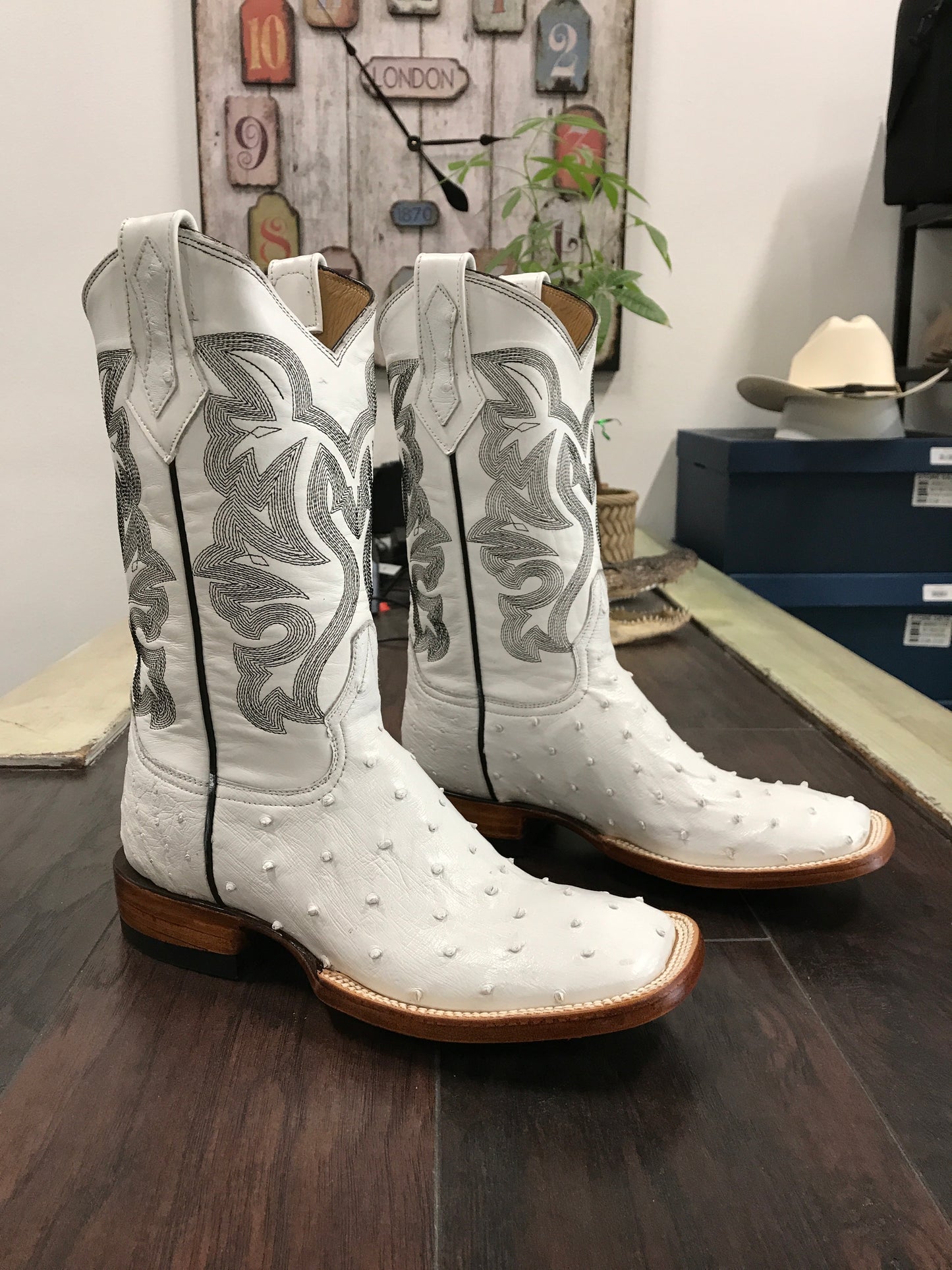 Ostrich - White