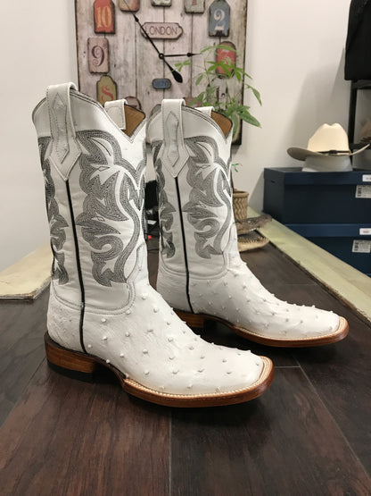 Ostrich - White