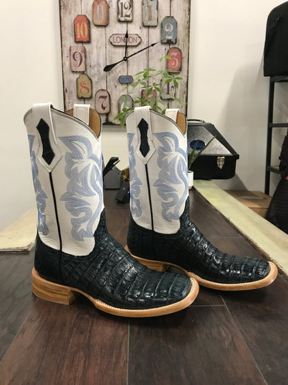 Caiman belly- Blue Jean