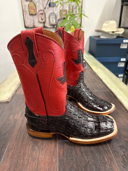 Caiman Tail Black Cherry