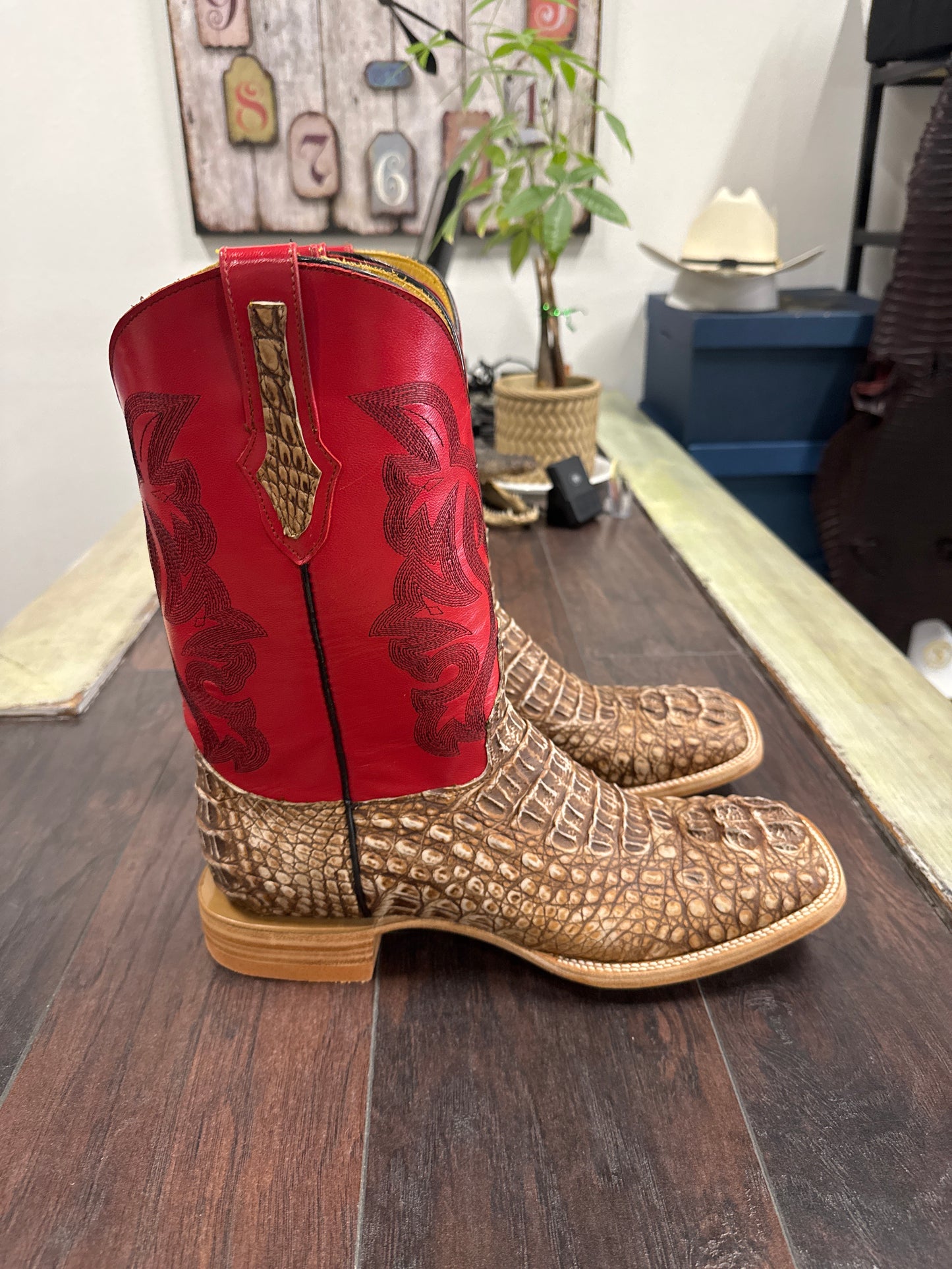 Caiman hornback- peanut butter