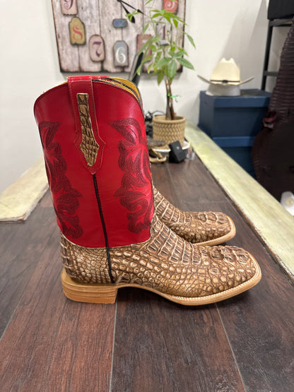 Caiman hornback- peanut butter
