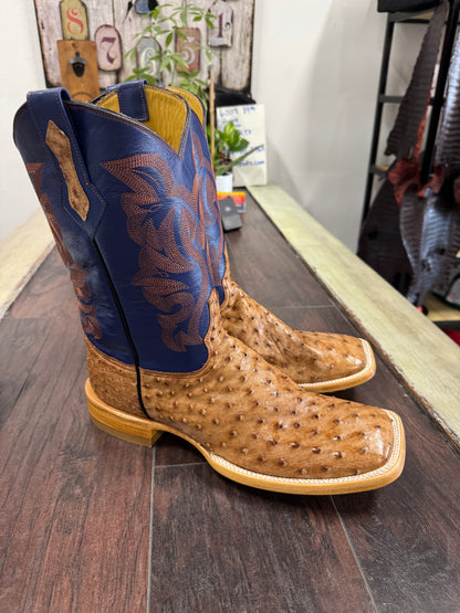 Ostrich- Brandy Bruciato