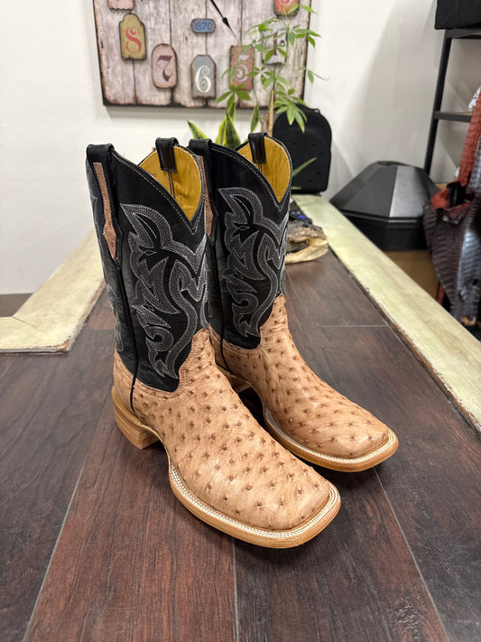 Ostrich- DB Bruciato