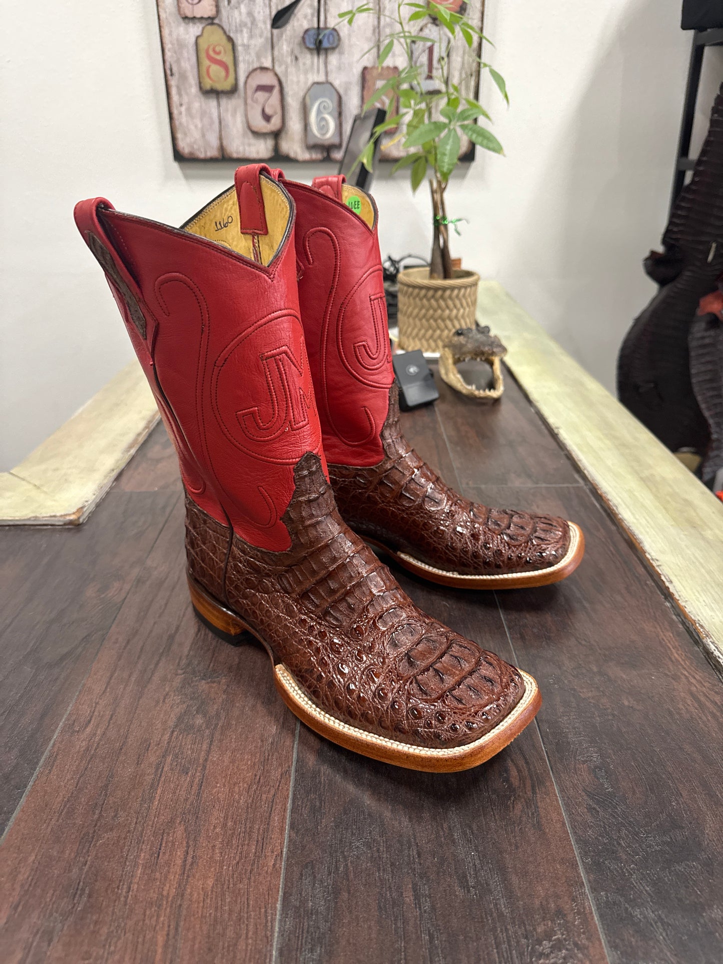Caiman hornback- cigar