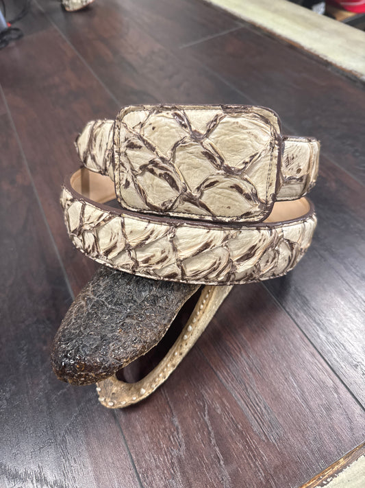 Pirarucu Belt- Cookie