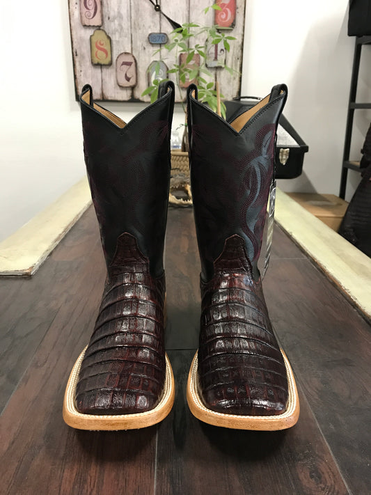 Caiman Belly Black Cherry