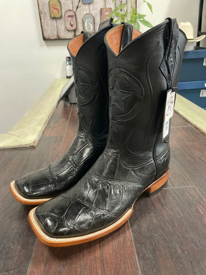 American alligator Belly Black 2
