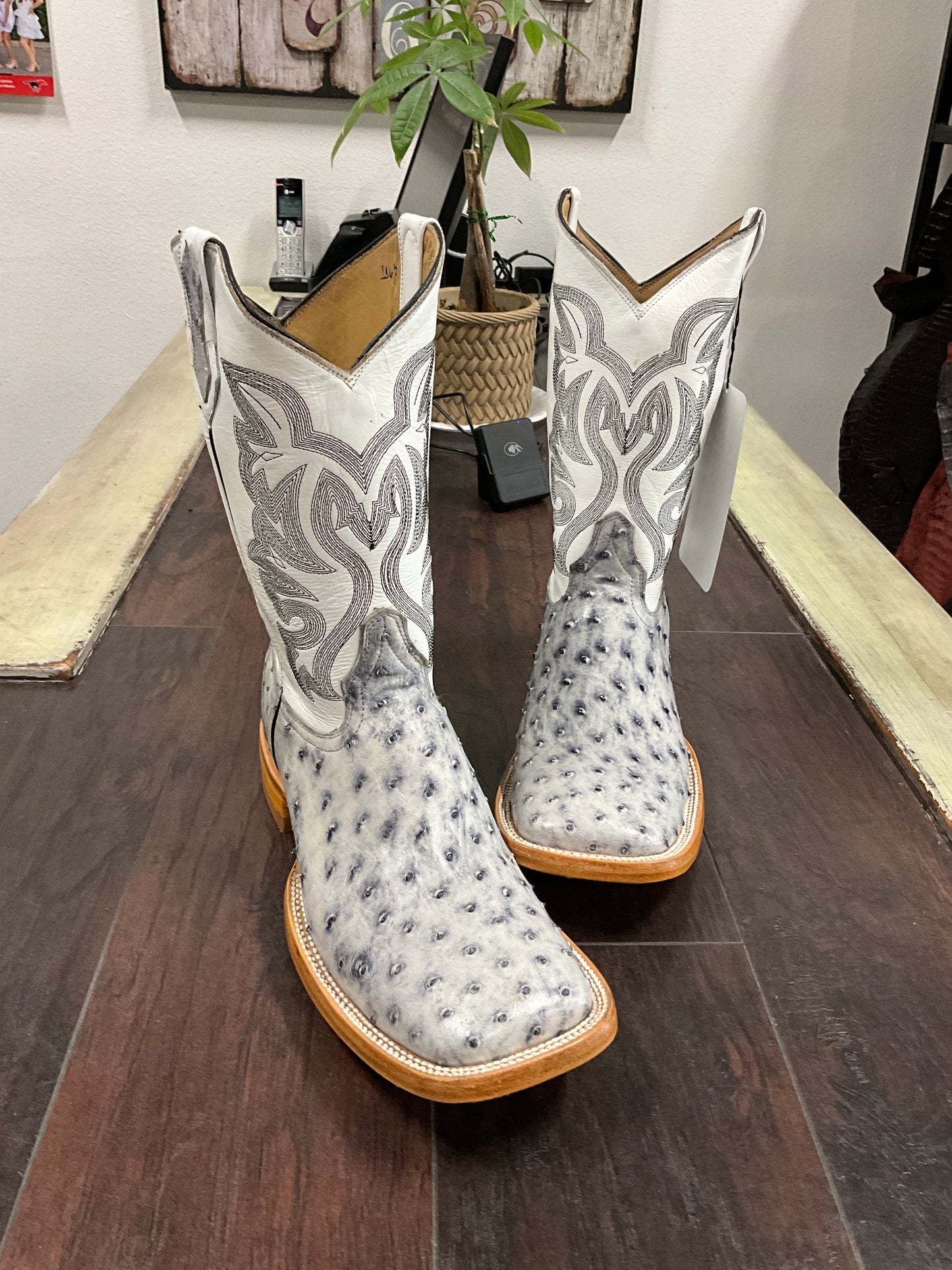 Ostrich- White Bruciato