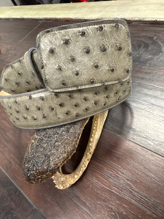 Ostrich Serpentine Bruciato Belt