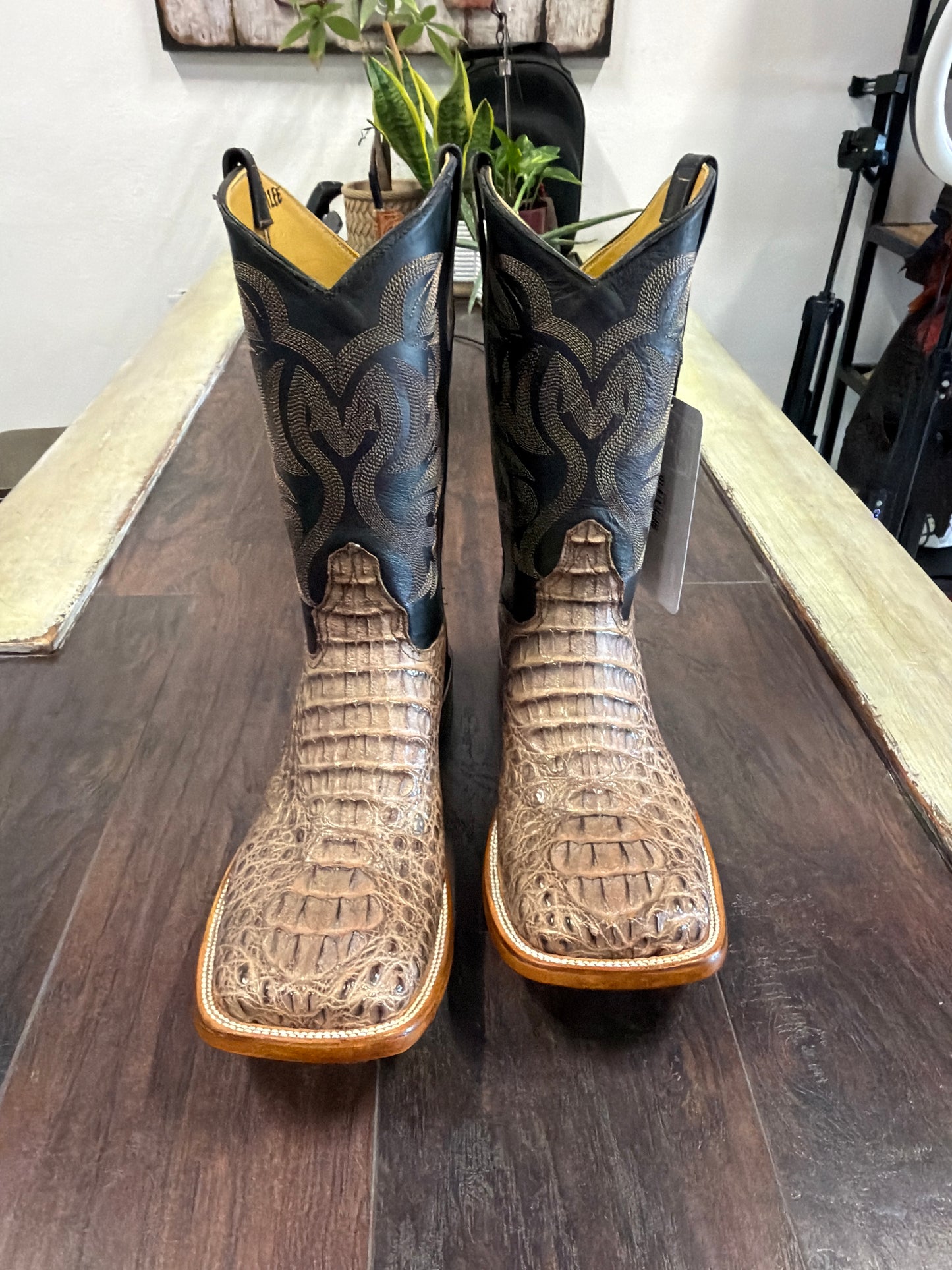 Caiman hornback- mink and black