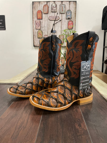 Pirarucu-Orange and Black