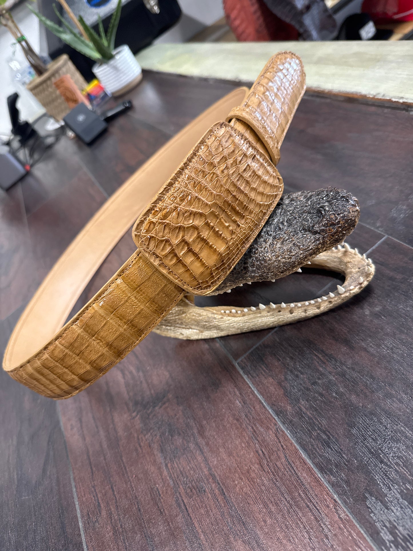 Caiman Belt- Antique Saddle
