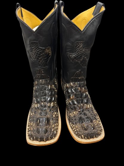 Hornback Am Alligator natural