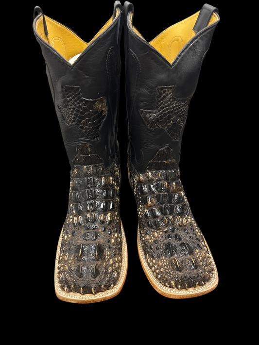 Hornback Am Alligator natural