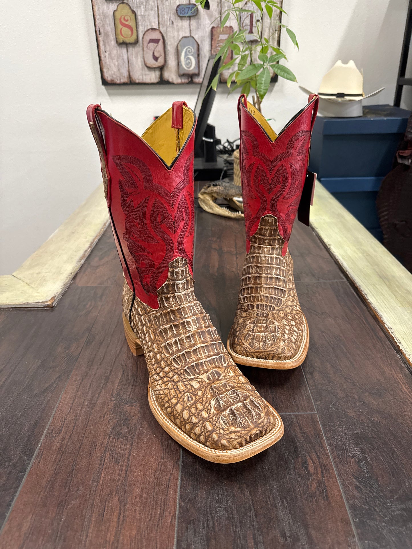 Caiman hornback- peanut butter