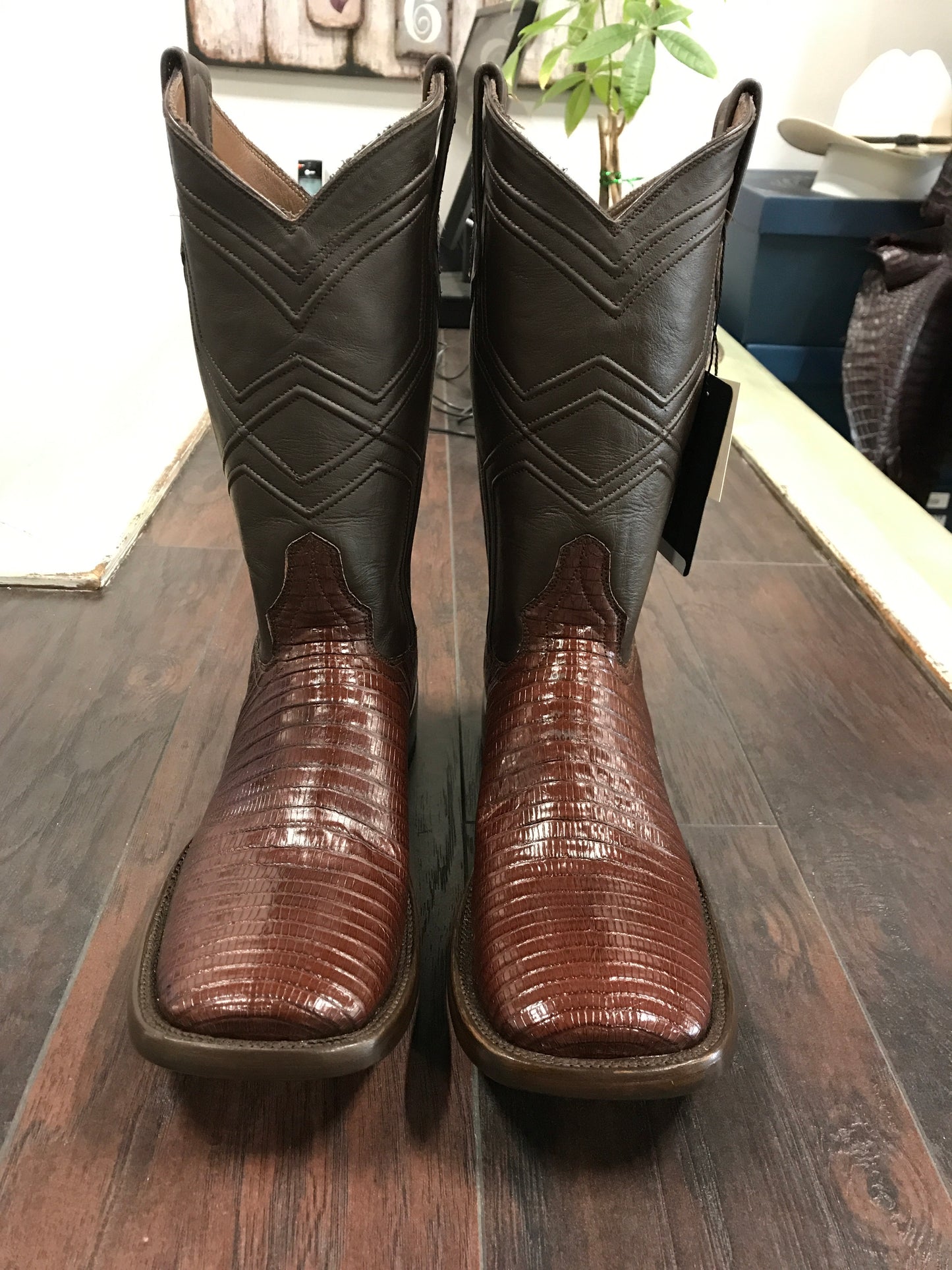 Lizard- Chocolate Brown