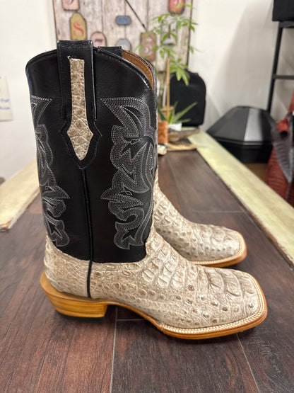 Caiman hornback- natural