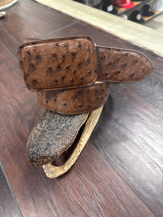 2” Ostrich Kango Tobacco Bruciato Belt