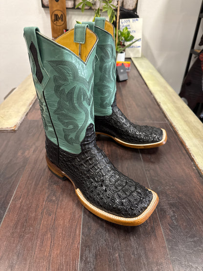 Caiman hornback- Black