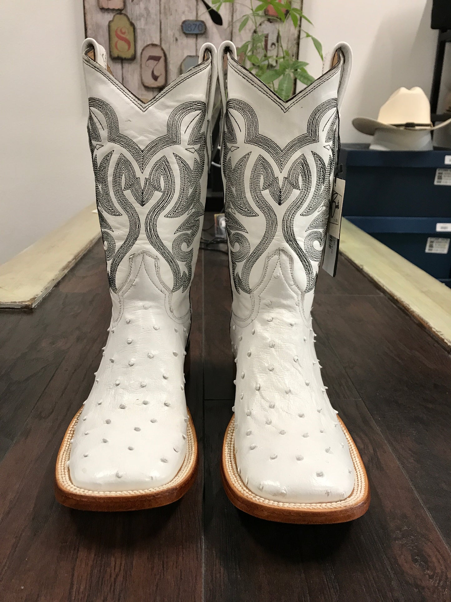 Ostrich - White