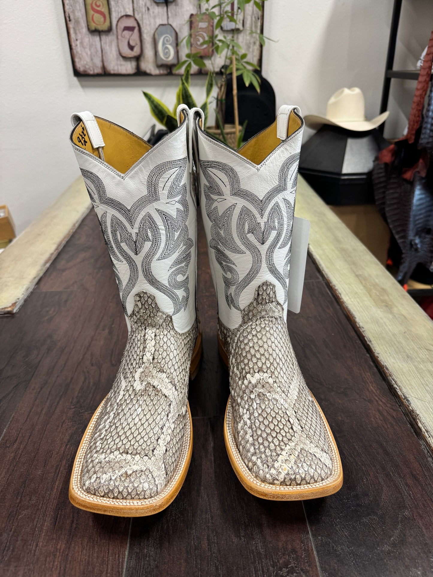 Natural- Python Back