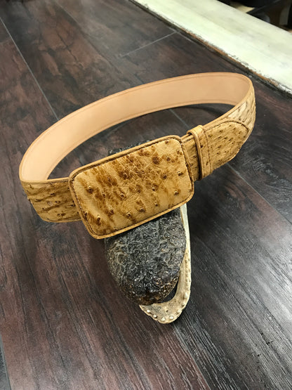 Ostrich Belt- Umber bruciato