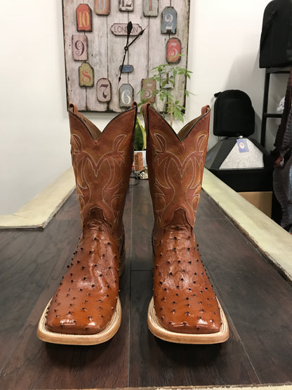 Ostrich - Brandy